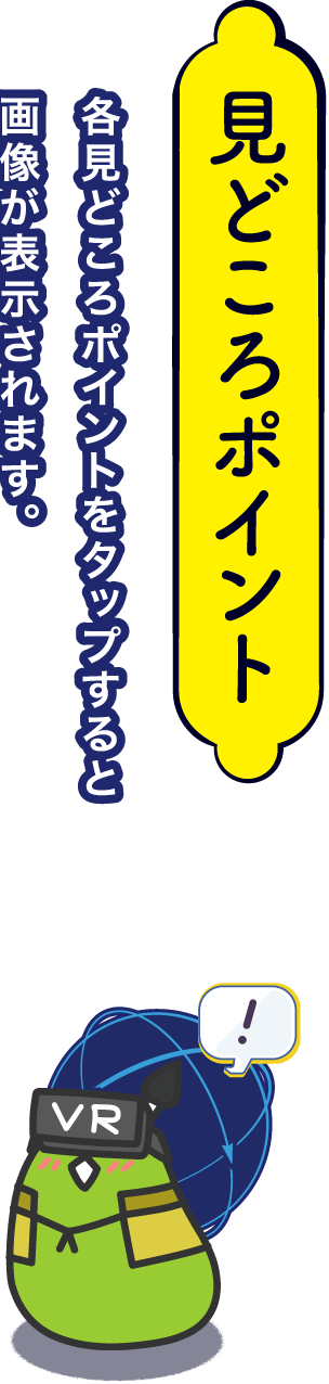 見どころポイント